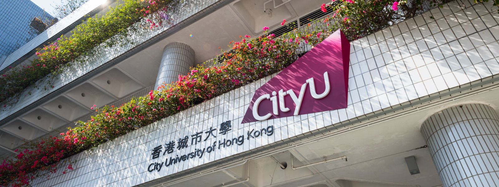 香港城市大学排名